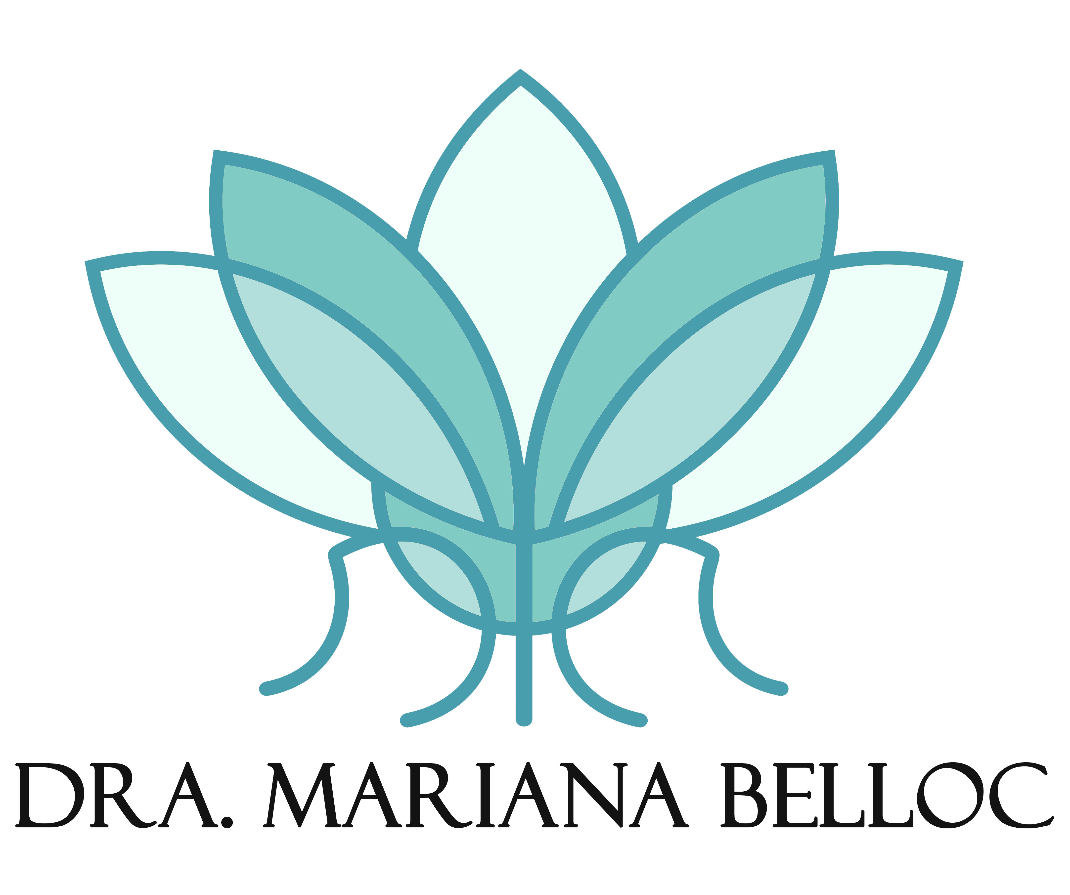 logo (3)